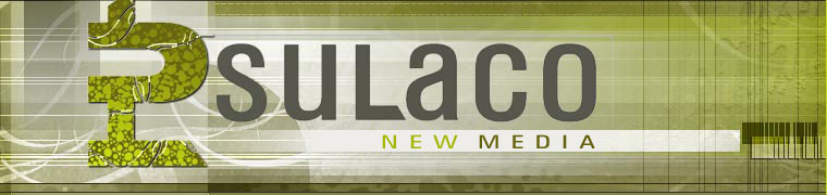 A new media company with an eye for virtual success - Strategic business development services that include: Web & graphic design, hosting, IT support / sales and direct / email marketing.